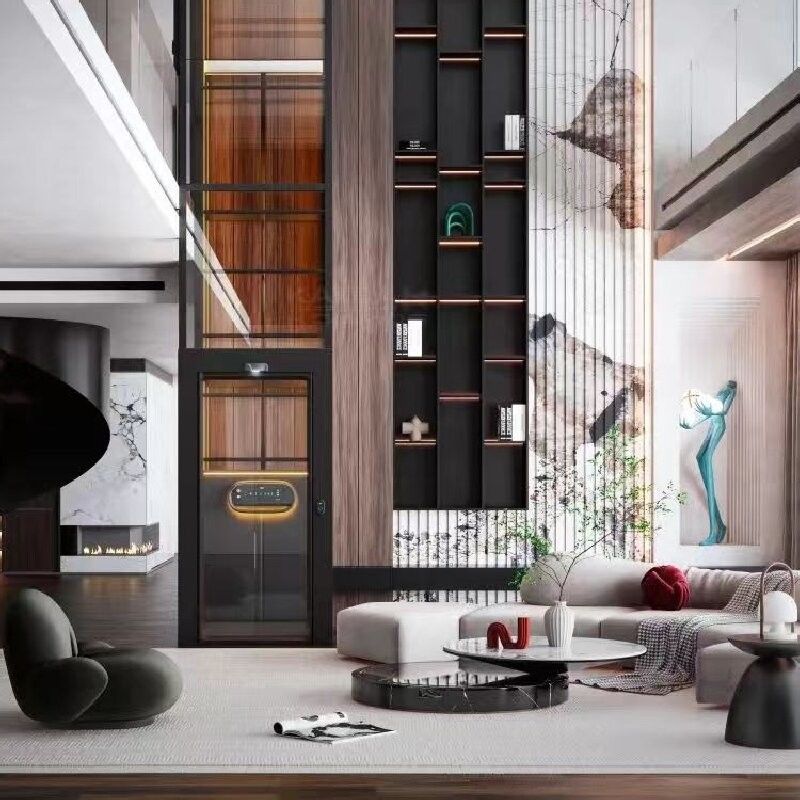 ১-২ জন স্ক্রু ড্রাইভ লিফট ইনডোর স্ক্রু ড্রাইভ হোম লিফট