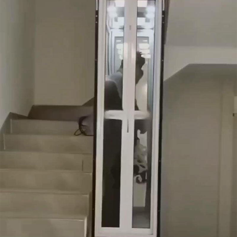 বাড়ি ও ব্যবসার জন্য কমপ্যাক্ট হাইড্রোলিক লিফট | 400 কেজি ক্ষমতা