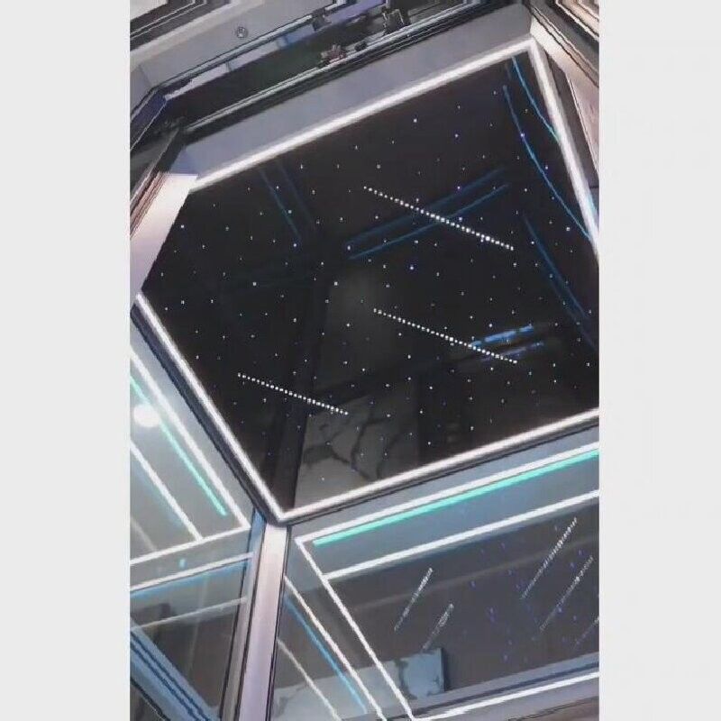 চিত্তাকর্ষক ট্র্যাকশন হোম লিফট ভিভিভিএফ কন্ট্রোল গিয়ারবিহীন এসএস কেবিন লিফট ১ বছরের ওয়ারেন্টি