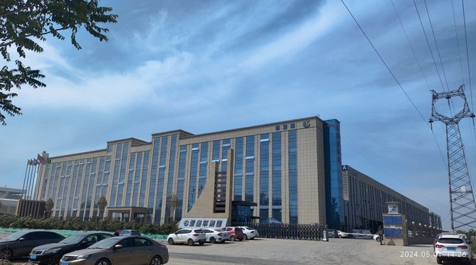 চীন Shandong Vitality Commerce Co., ltd.