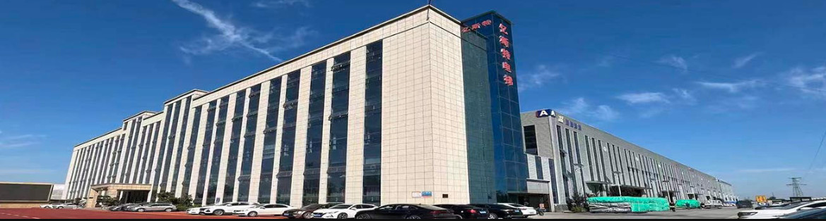 Shandong Vitality Commerce Co., ltd. কারখানা উত্পাদন লাইন