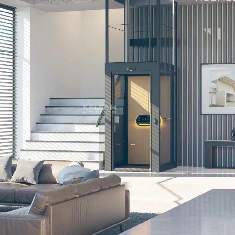 ইনডোর স্ক্রু ড্রাইভড হোম লিফট 500 কেজি ছোট লিফট হোম জন্য