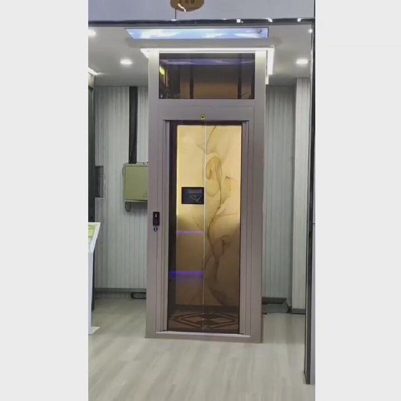 আরামদায়ক হোম গর্তহীন হাইড্রোলিক লিফট একক বা ডাবল ওয়েল শ্যাফ্ট টাইপ