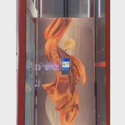 স্টেইনলেস স্টীল ছোট আবাসিক লিফট 400 কেজি ছোট লিফট ঘর জন্য