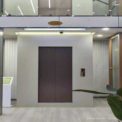 প্যানোরামিক গর্তবিহীন হোম লিফট। হালকা অ্যালুমিনিয়াম ফ্রেম।