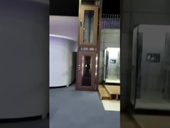 শক্তিশালী অ্যালুমিনিয়াম কূপ শ্যাফ্ট হোম লিফট ট্র্যাকশন টাইপ 0.6 M/S